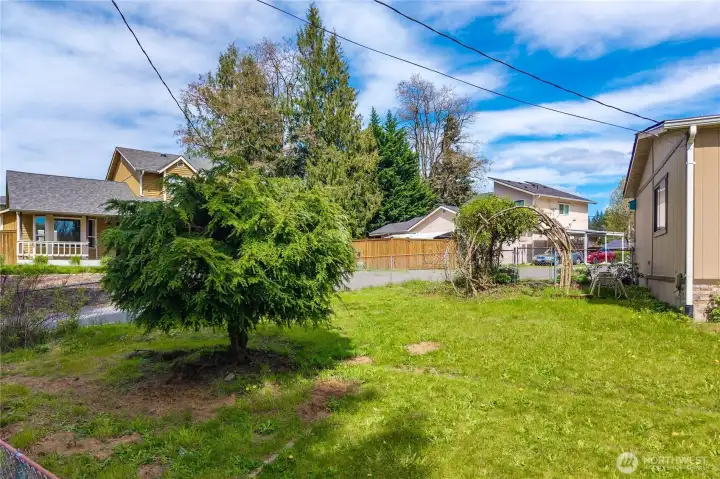 Corner of the front yard
