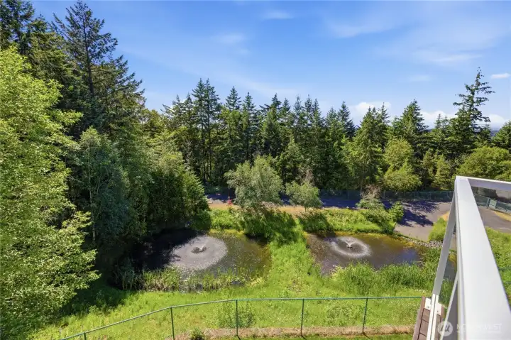 You are surrounded by trees & nature on your deck overlooking the pond