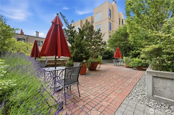 Another view of the courtyard for all to enjoy. Another view of the courtyard for all to enjoy.