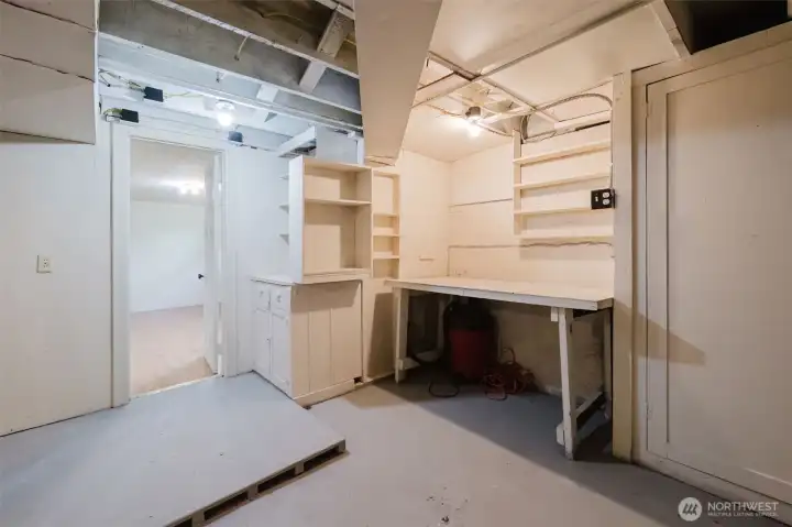 Basement has lots of storage and cool shelves
