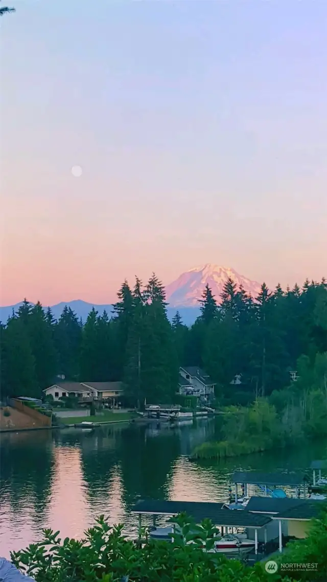 Mt Rainier from middle/top of lot