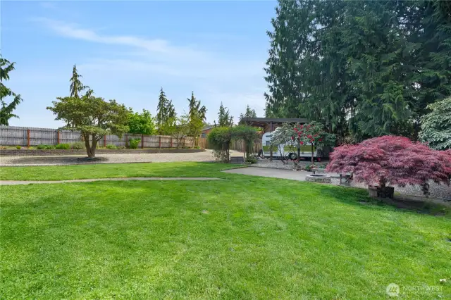 back yard with fruit trees