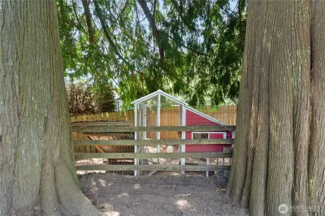 chicken coop