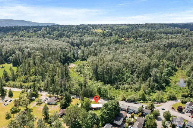 Property surrounded by greenery & privacy