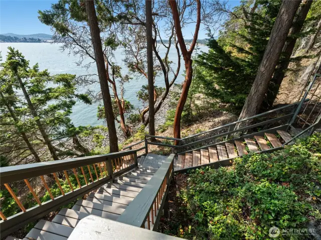 Stairs to firepit.
