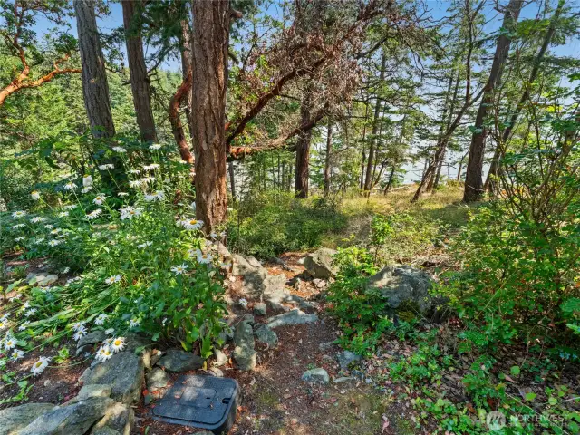 Next to driveway, here's the entrance to trail to Eagle Point via a trail going to the beach at Cook's Cove.