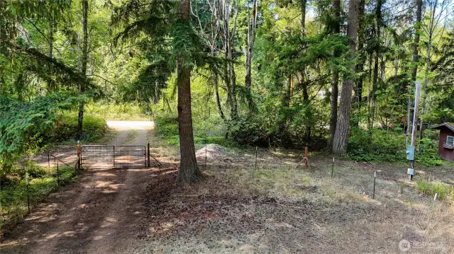 Mature evergreens throughout the property create a beautiful setting. View facing Country Lane from secondary access gate.