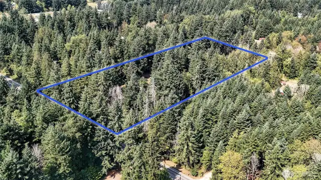 Blue boundary lines are approximate. Buyer to verify to own satisfaction.
