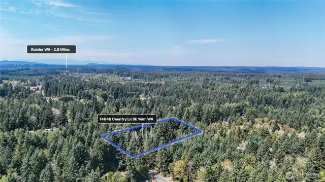 Nestled in nature while close to Rainier and Yelm. Blue boundary lines are approximate. Buyer to verify to own satisfaction.