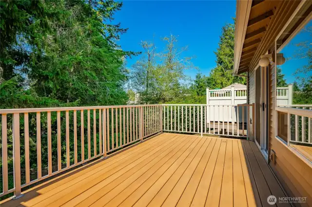 Large composite deck on the back of home.