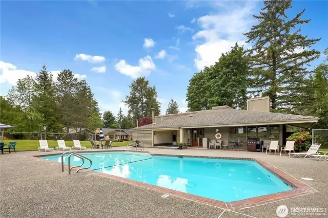 Community Swimming pool