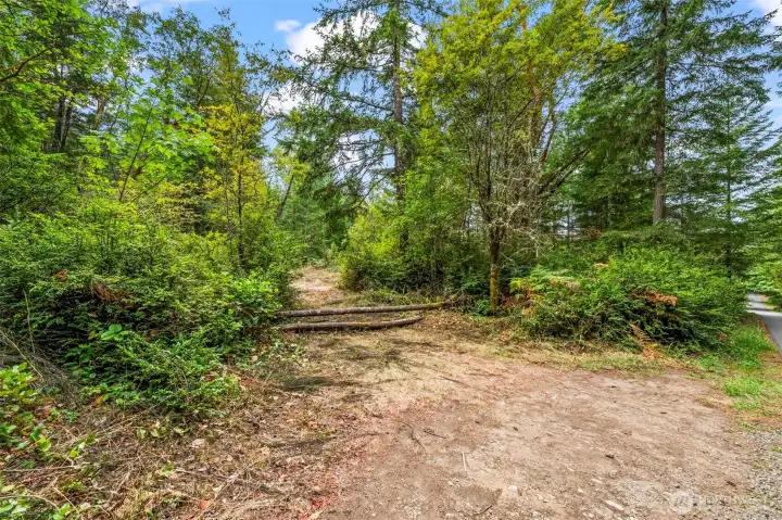 Property partially cleared for easy access and walkability