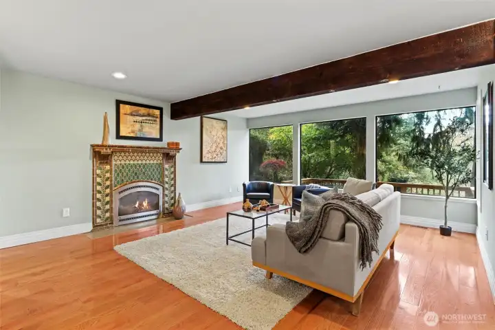 Look at this fireplace!!!