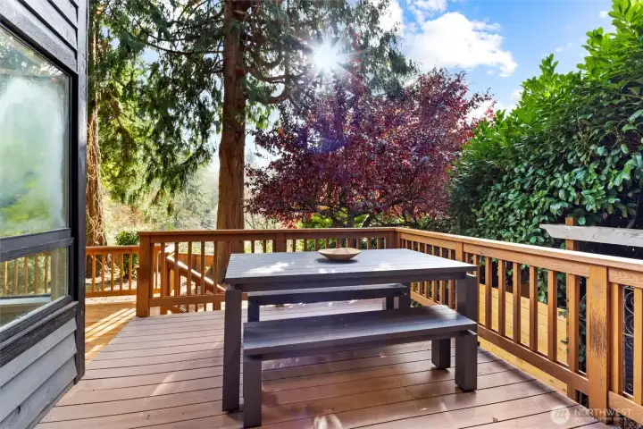 Beautiful setting off of the deck.