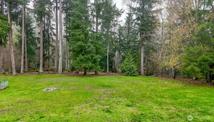 So much space you can hit golf balls from your deck, play catch, or run with your dog!