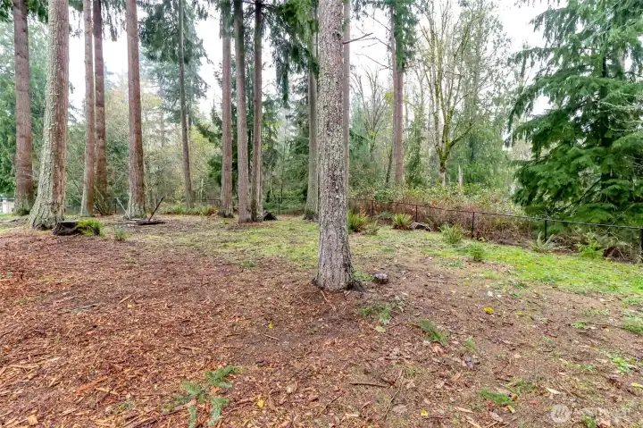 Hang a hammock under the trees and nap on a warm summer afternoon.