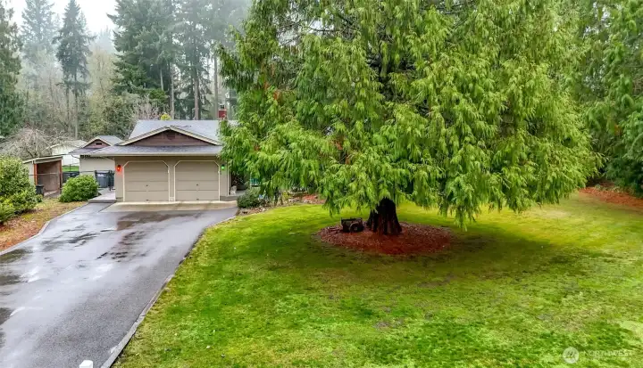 Watch the wildlife go by while soaking up the soothing sounds of nature.