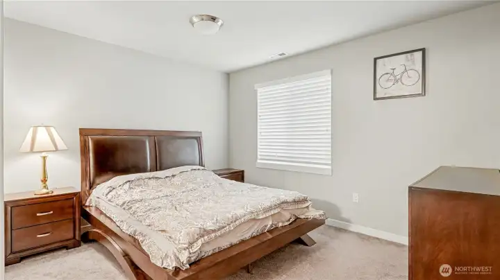 Downstairs guest bedroom, just off the flex space.