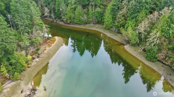 Green Cove is a gorgeous, aptly named, peaceful stretch at the base of Eld Inlet.