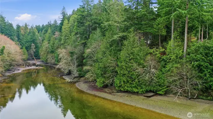 The waters of the inlet continue as Green Cove Creek, which runs through the neighborhood creating a wide community-owned, natural greenbelt.