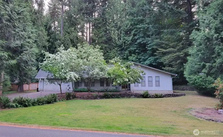Dogwoods in bloom last summer!