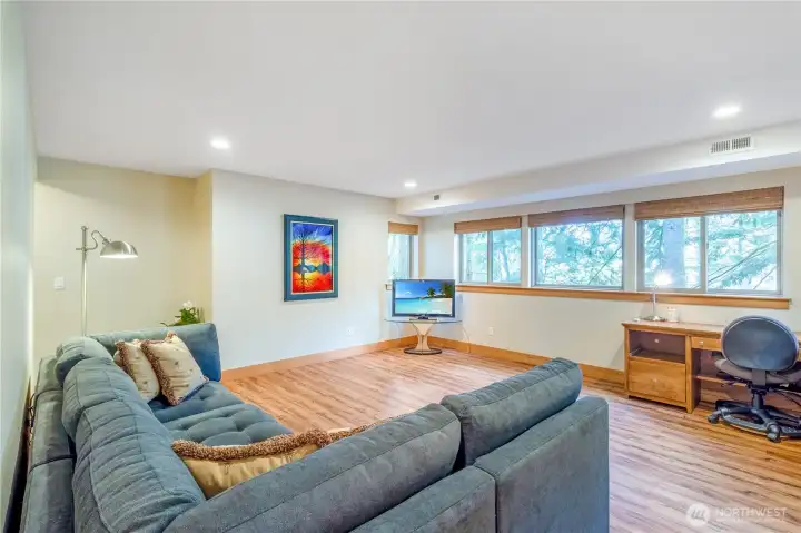 Lower level rec room with flexible living space