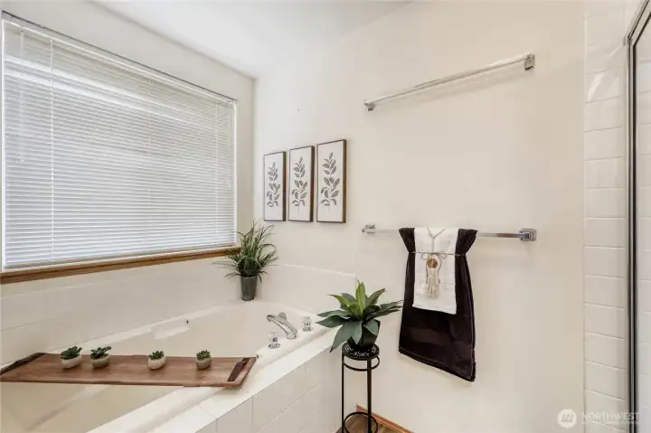 Primary bedroom Soaking tub