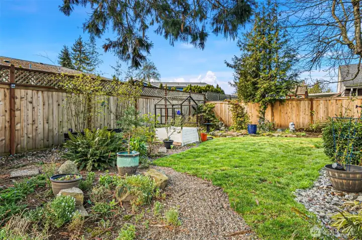Fully fenced back yard