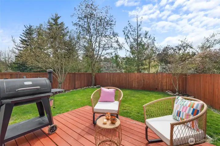 Fully fenced yard backing up to green belt