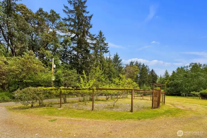 Deer fenced garden space
