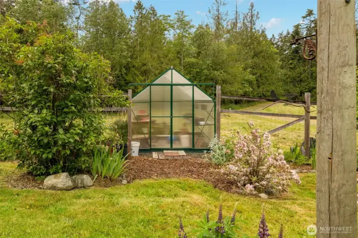 Looking out from the back of the house is the fenced yard with greenhouse. beyond is the second pasture and the studio.