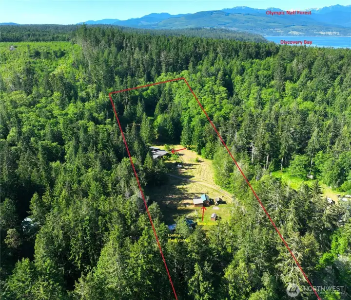 An aearila view showing the Olympics to the southwest.