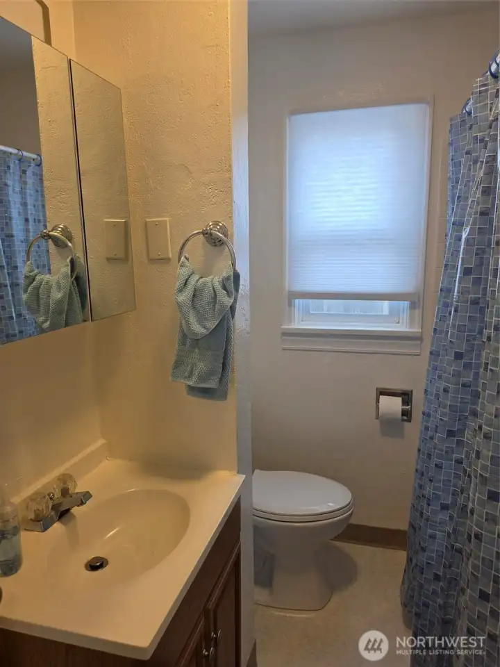 Bathroom vanity and the "Throne"