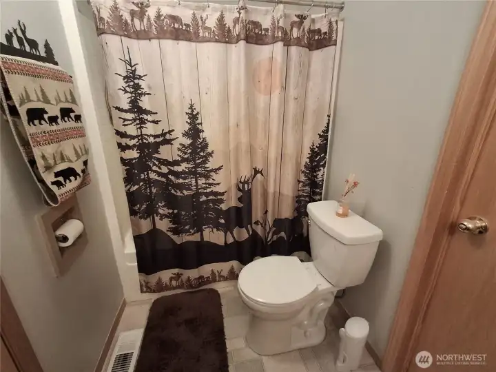 Main Bath 1