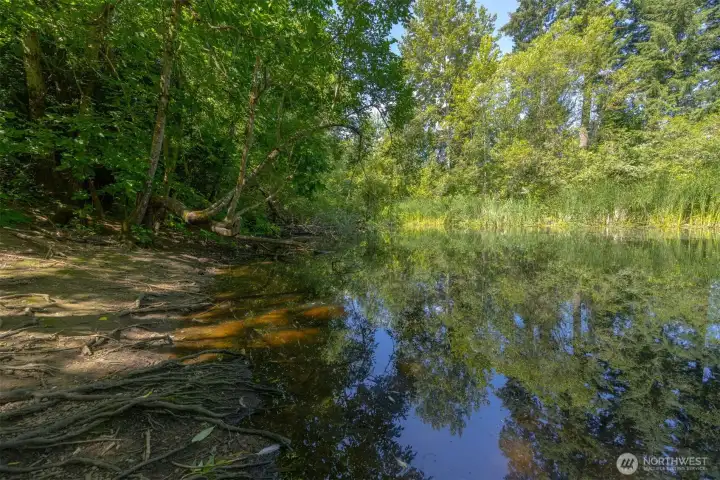 The near by duck pond is a quick walk from the back gate The near by duck pond is a quick walk from the back gate