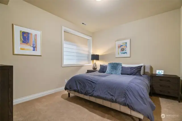One of 3 lower level spacious bedrooms on the lower level with its own full size bathroom.