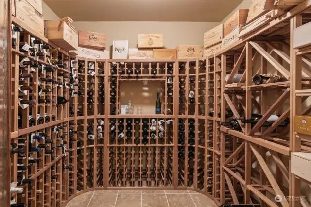 500 bottle wine cellar