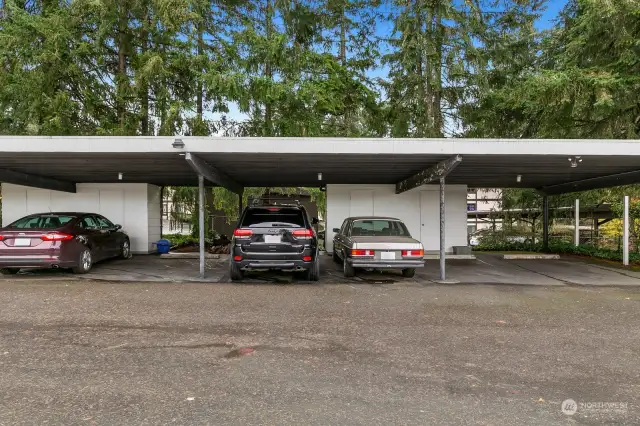 Two parking spaces (the Jeep and Mercedes spaces).