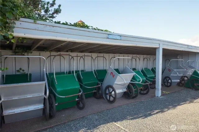 Cart storage area