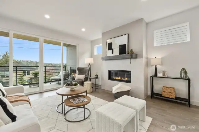 Gas Fireplace takes the stage
