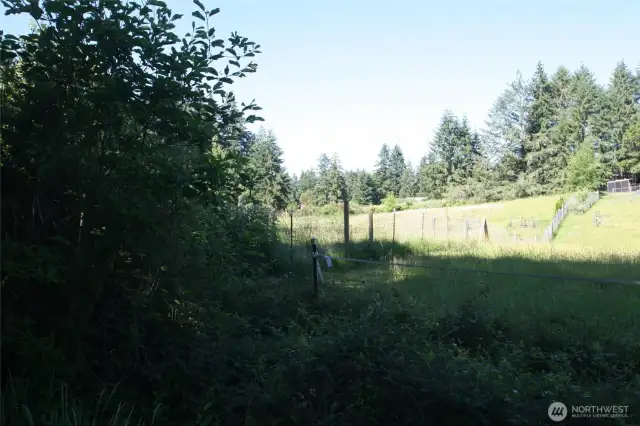 North fence line survey stakes