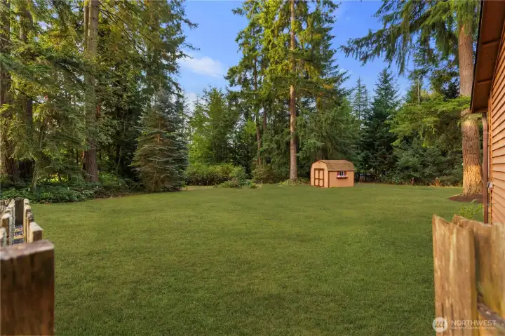 Large shed to hold all your favorite yard toys. Grass enhanced.