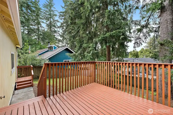Backdeck