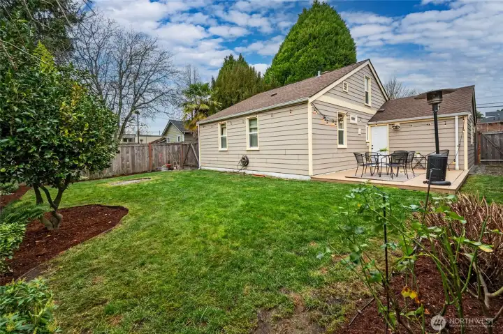 Fully fenced backyard with new trex deck.