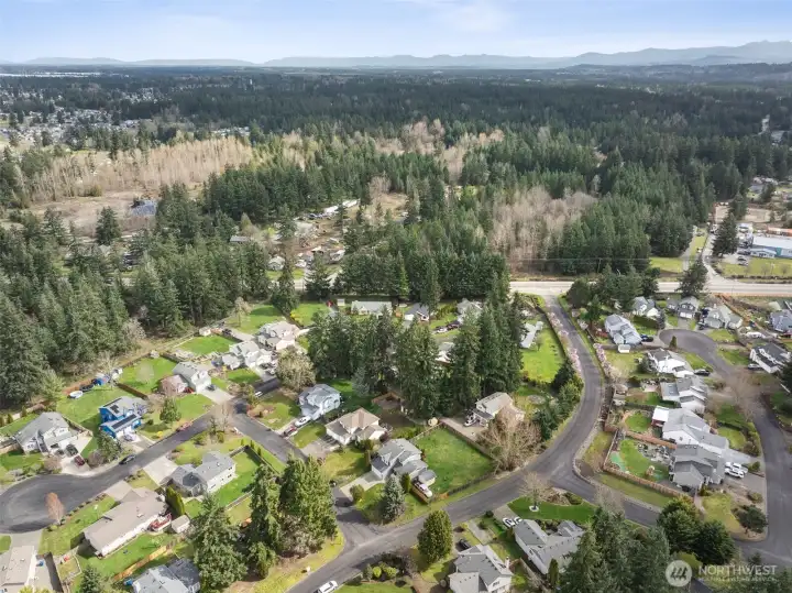 Arial of Neighborhood