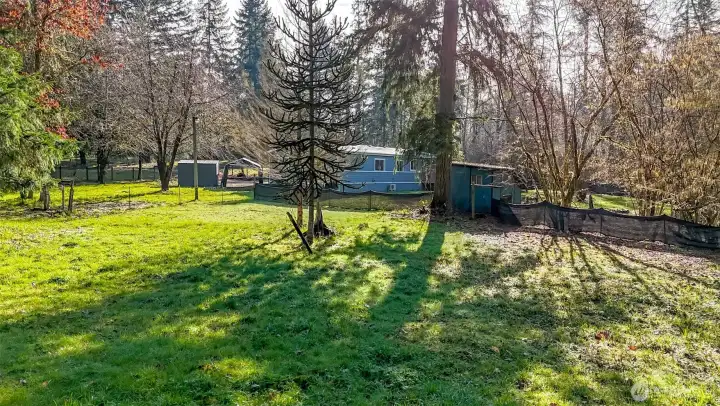 This shot taken from the North side of the house.