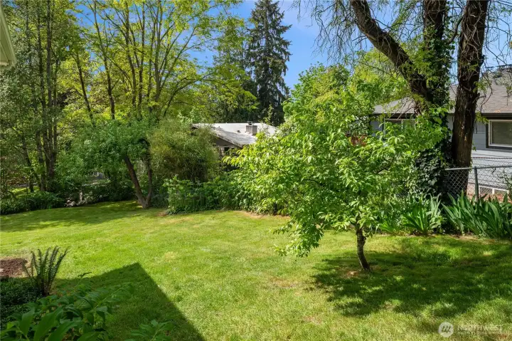Looking down the side yard which is larger than most people's backyards.
