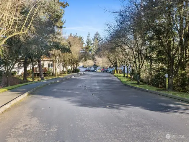 Entry lane to complex - especially gorgeous when the leaves are back on the trees!!