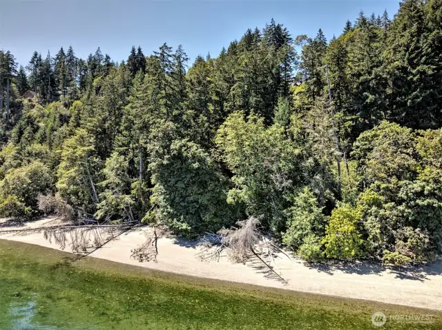 The beach at the end of the trail