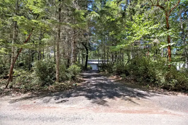 Set back from Tamarack Lane
